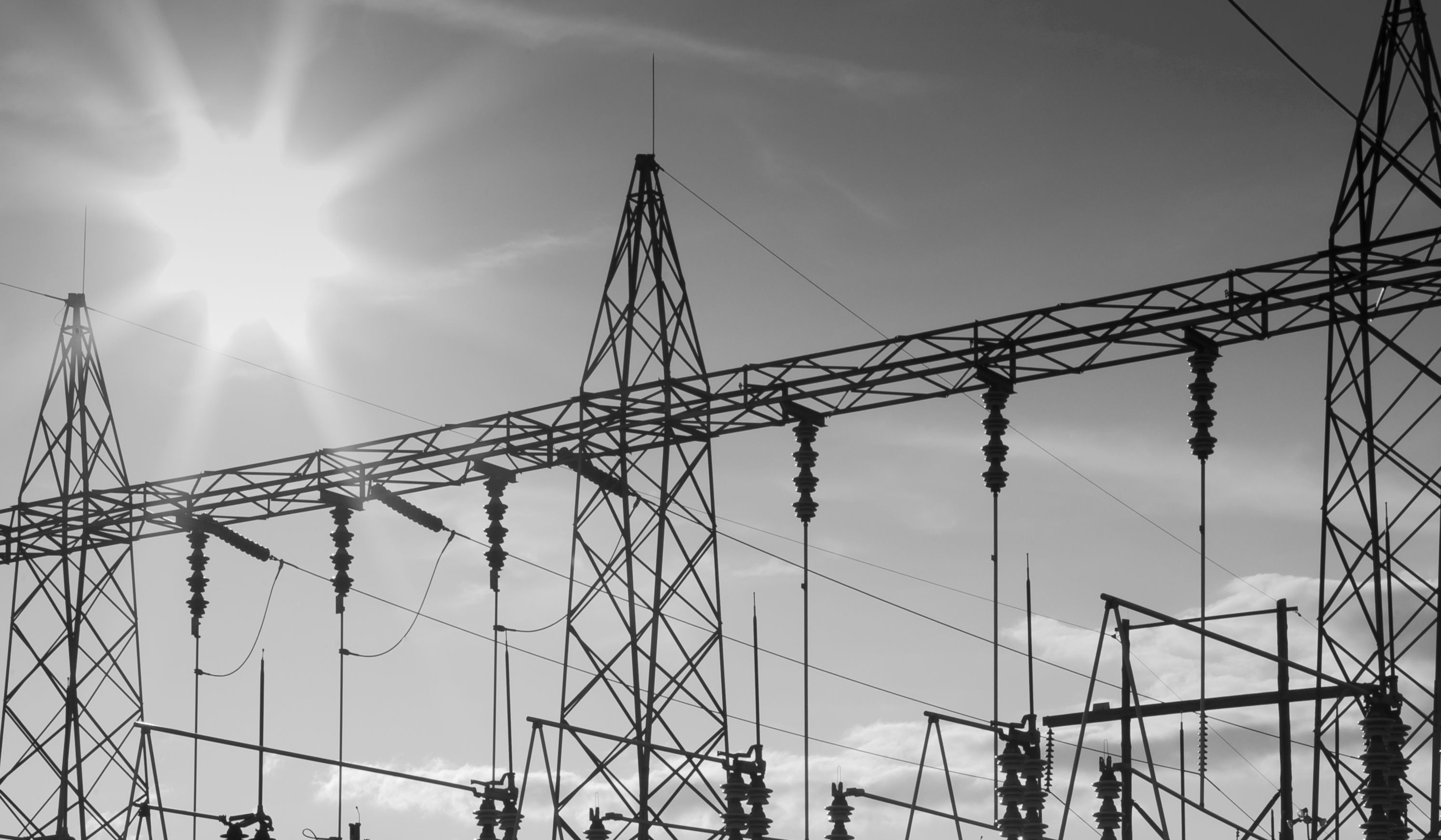APAC Electricity Distributor Powers Through SAP Audit with Invictus Partners